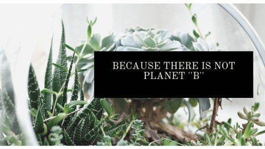Shop Sustainable & Ethical: Save Money, Help The Environment and Upgrade Your Wardrobe 