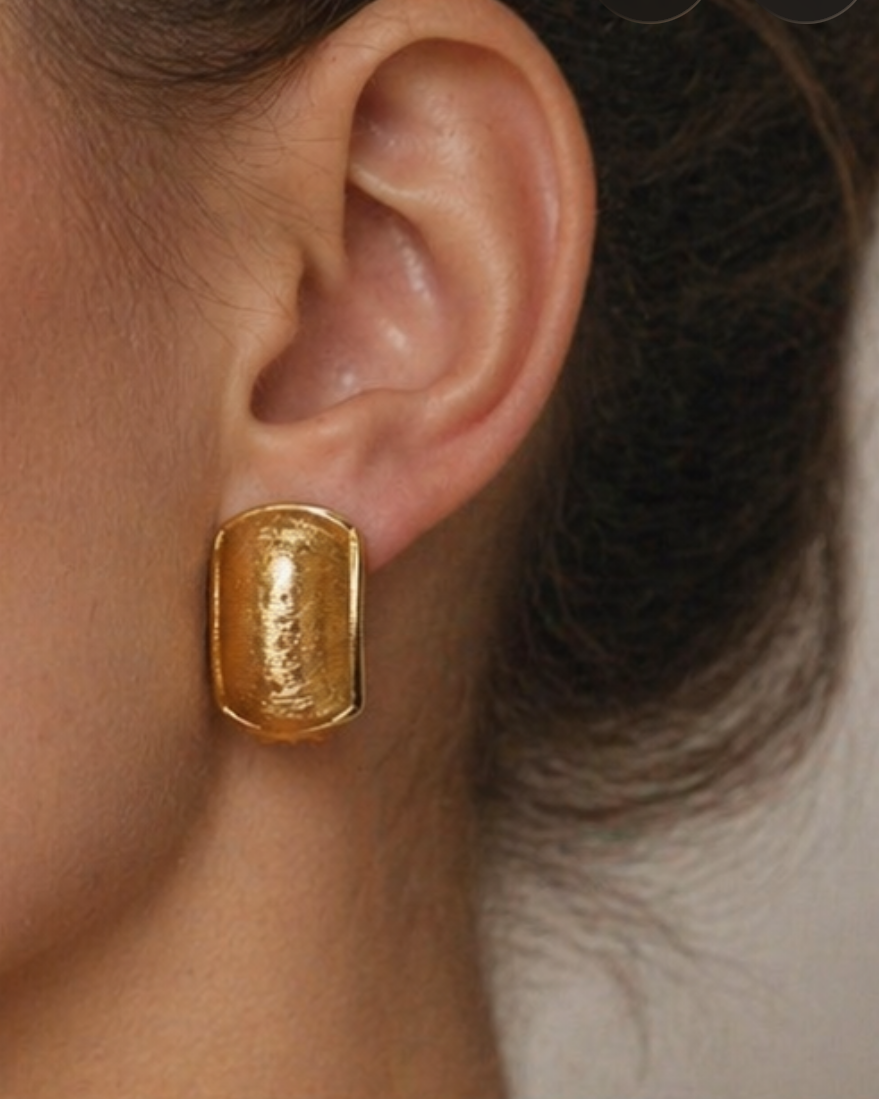 Authentic Dior Earrings Clip On
