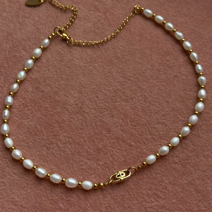 Authentic CD mini Oval Dior pendant- Reworked Choker